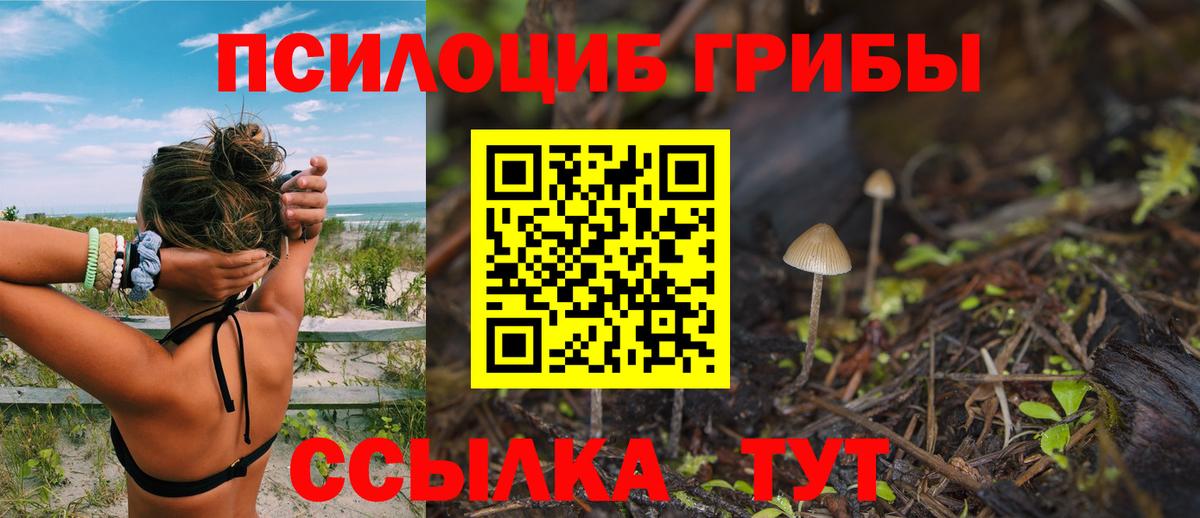 Псилоцибиновые грибы Psilocybine cubensis Муравленко